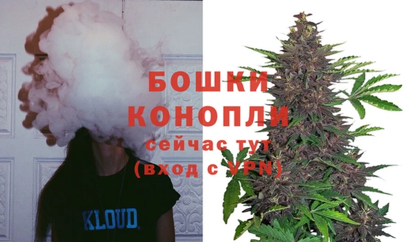 прущие грибы Бугульма