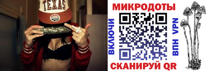 Псилоцибиновые грибы Psilocybine cubensis  где можно купить наркотик  Новохопёрск 